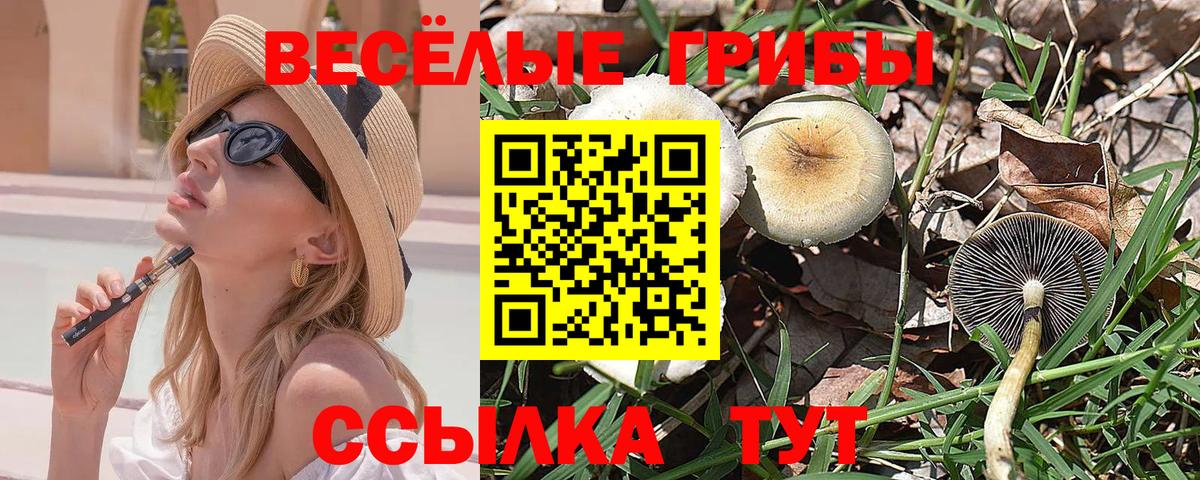 ГАШИШ Серов