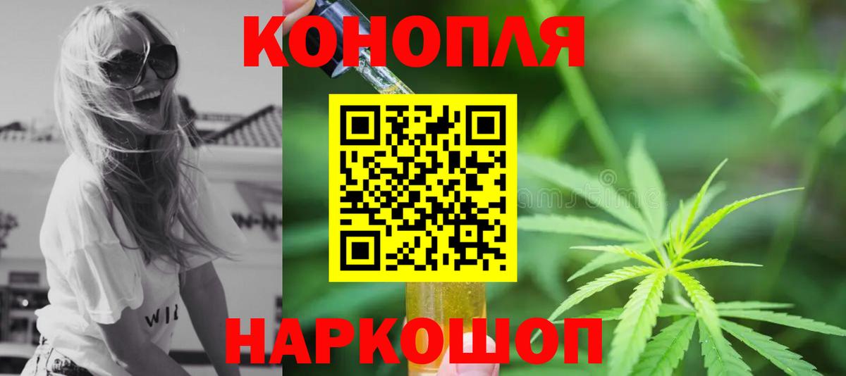 Канабис SATIVA & INDICA Серов